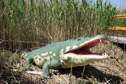 Łeba Park - Jurajski Park Dinozaurów
